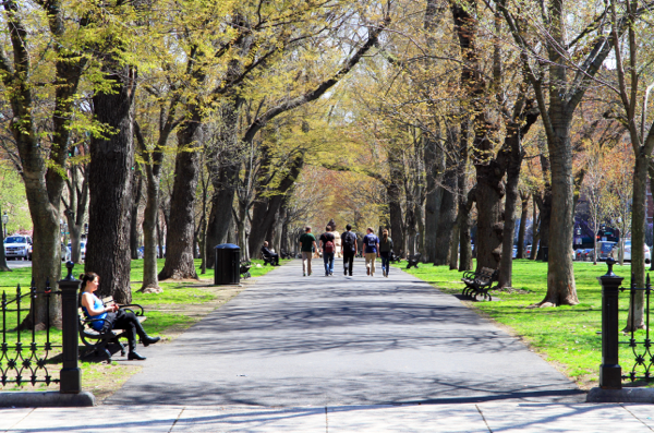 Park