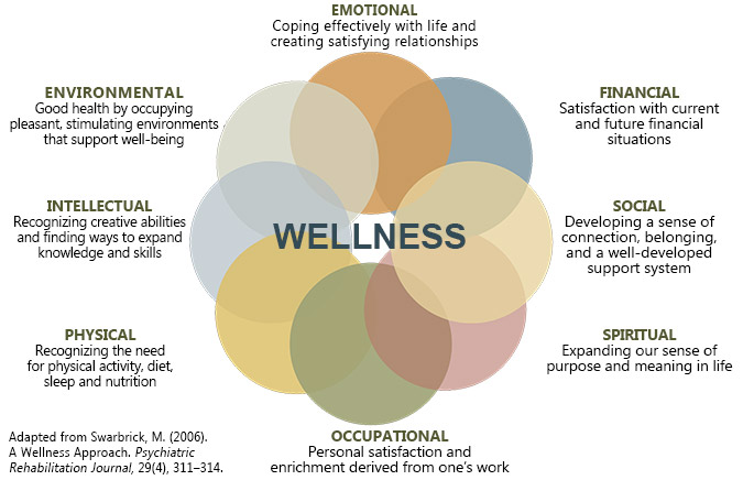 six components of wellness