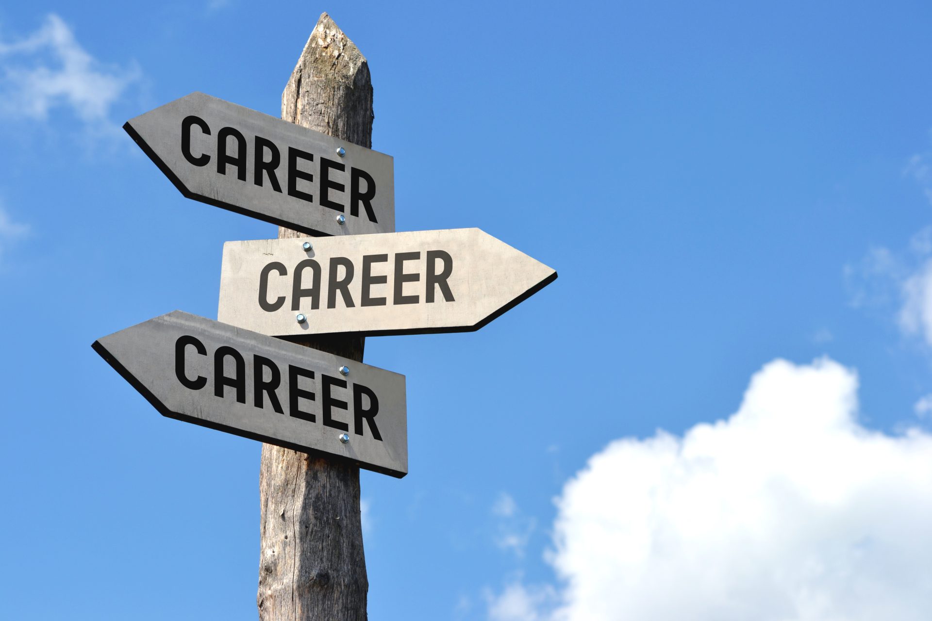 several signs that say 'career' pointing in different directions